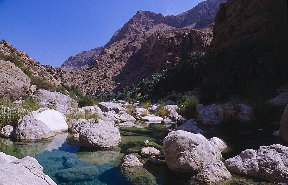 Emerald pools of Wadi Tiwi, Oman