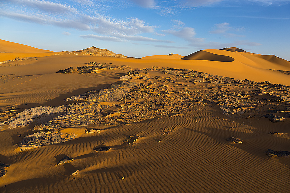Sand dunes, southern Oued In Tehak, Tadrart region, Algerian Sahara